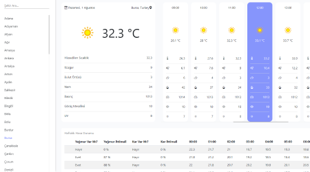 Weather Website